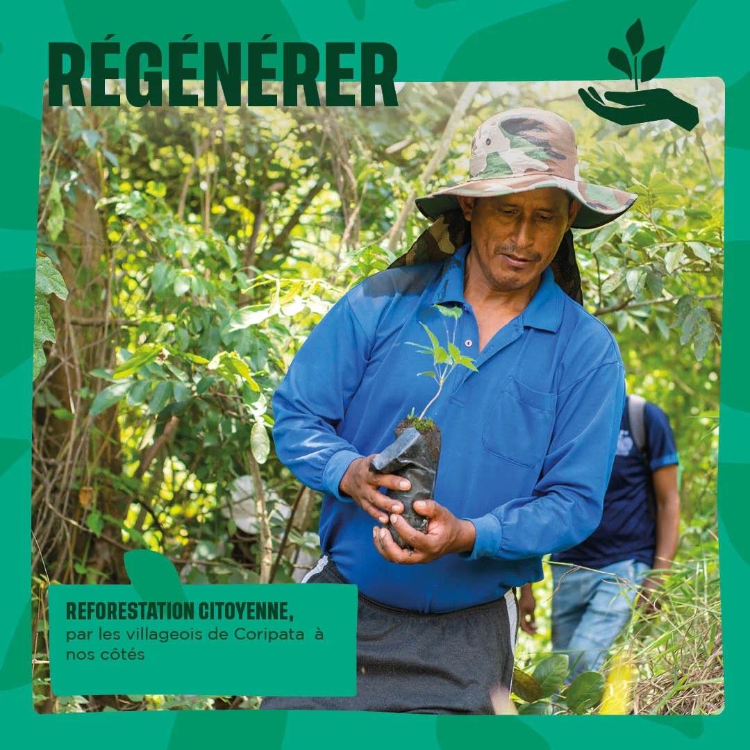 Régénérer : reforestation citoyenne