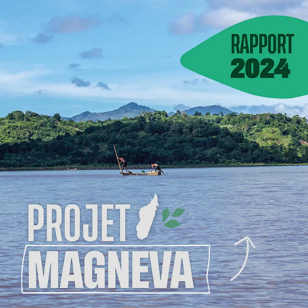 Projet Magneva rapport 2024