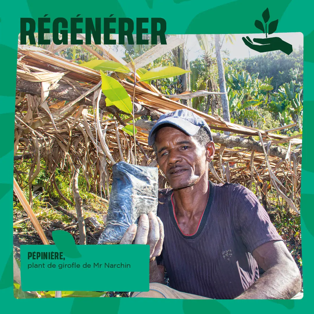 Régénérer : Pépinière