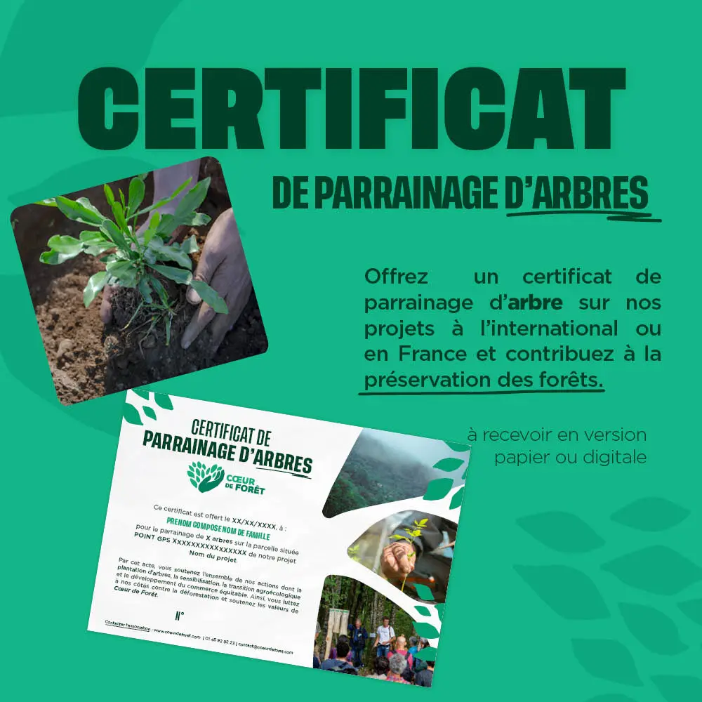 Certificat de parrainge d'arbres