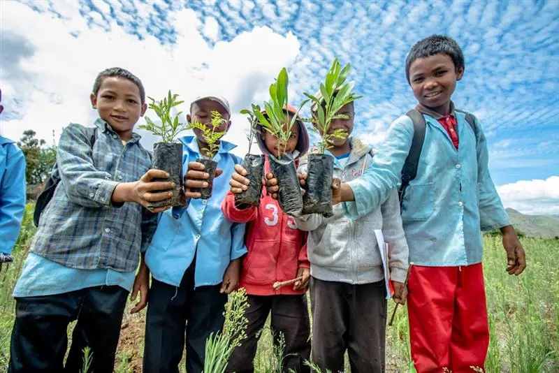 Enfants qui montrent leurs poussent d'arbres