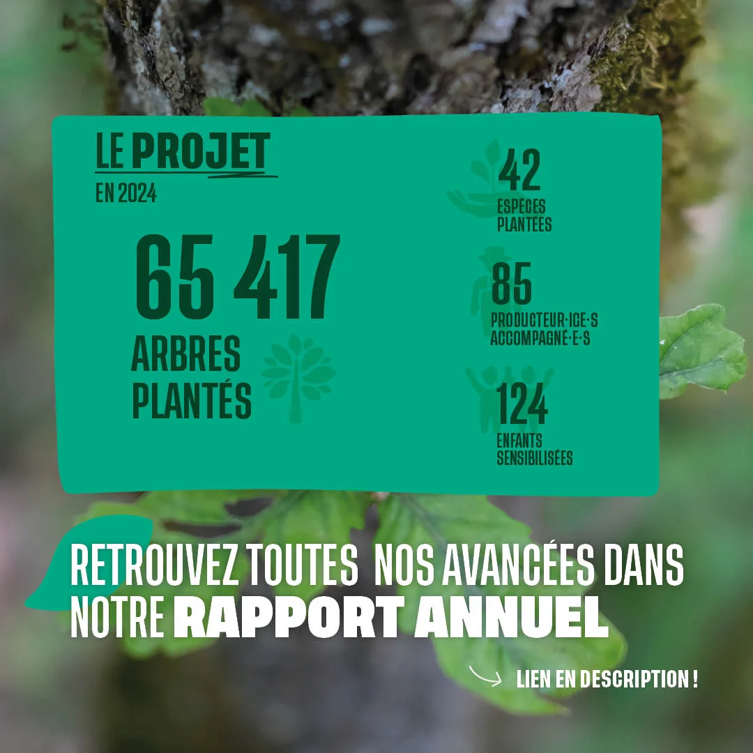 Les chiffres du projet 