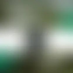 Le témoignage de notre mécène Jöro.