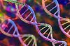 SIAS_Knowledge-Hub_09.jpg