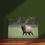 Thumbnail: Bull Elk
