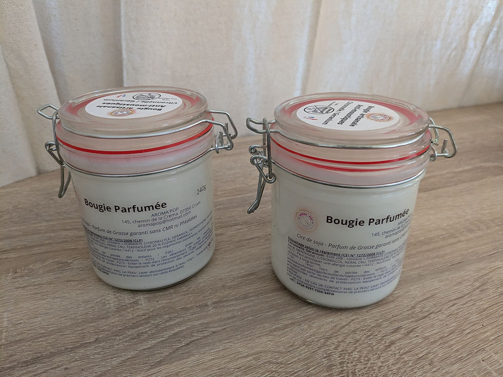 Bougie Anti-moustique en bocal