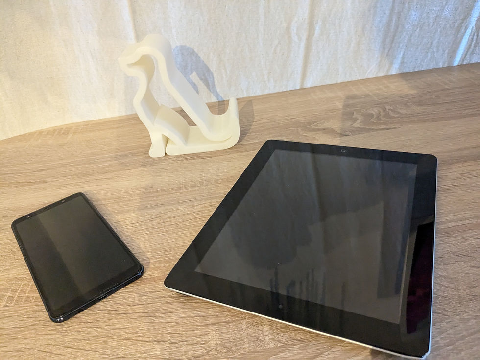 Chacréporte-tout - "Neige"