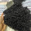 Thumbnail: Eurasian Curly Bundles.