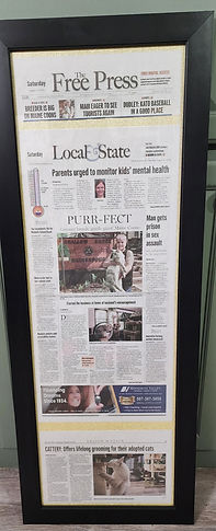 newspaper.jpg