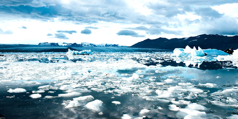 Tidewater Glaciers - harbingers of climate & ecosystem changes