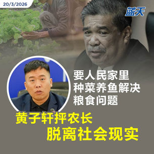 要人民家里种菜养鱼解决粮食问题，黄子轩抨农长脱离社会现实