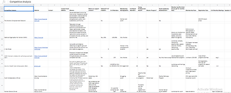 Competitive Analysis Spreadsheet - Sprin
