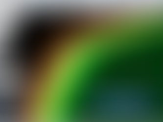 Gewinnzone oder Todeszone?