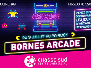 Animation Bornes arcade chez Chasse Sud !