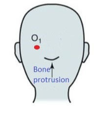 O1 placement_edited.jpg