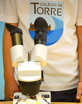 2º Ciclo Microscópio.jpg