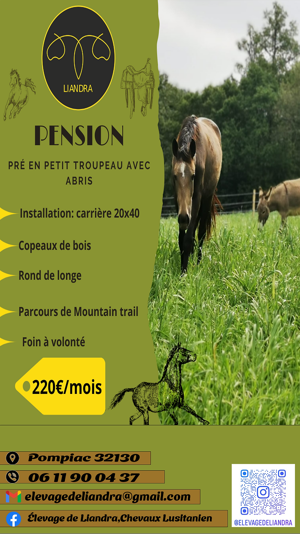 LIANDRA PENSION 