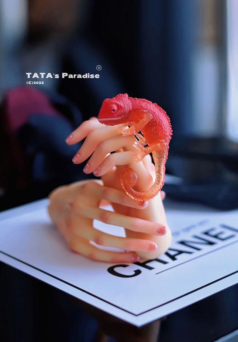 Thumbnail: 「Tata」Mini Chameleon (OB11 / 1/12 l 1/8 l 1/6 l 1/4 l 1/3) Prop ONLY