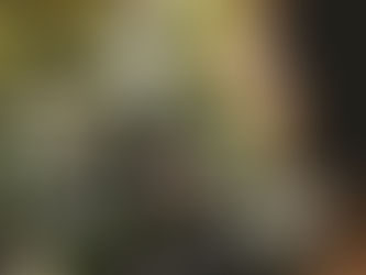 Mein Leben für immer verändert...