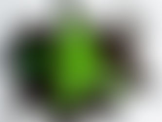 "...,dass die Reinkarnationstherapie so gut funktioniert..."