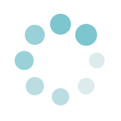 LoanCheckr - Loading