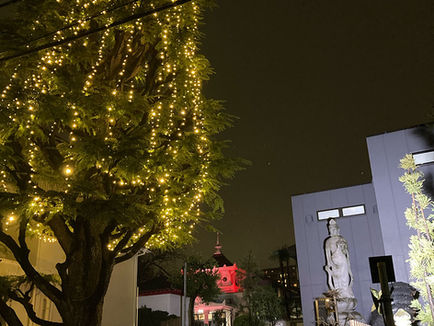 電飾とライトアップをしています