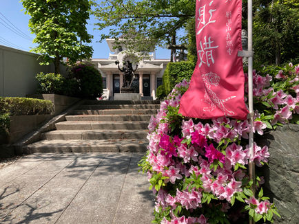 ツツジが華やかです。