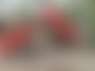 ミャンマーで校舎建築が始まりました。