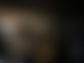 列島制覇ー非道のうさぎー