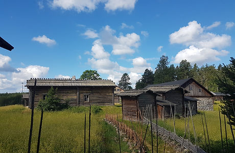 Pien-Toijola.jpg