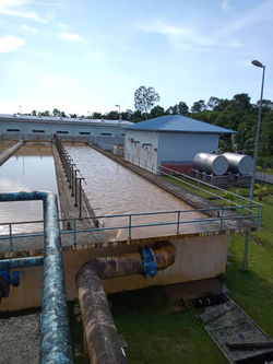 WhatsApp Image 2024-08-29 at 1.52.07 PM