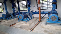 WhatsApp Image 2024-08-27 at 17.08.03