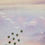Miniature : Envol