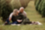 Couple cuddling on grass amidst christmas trees, she wears olive dress, he wears beige sweater; serene, loving mood.