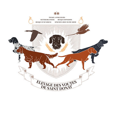 LOGO_instagram_1000x1000_PNG_2.png.jpg