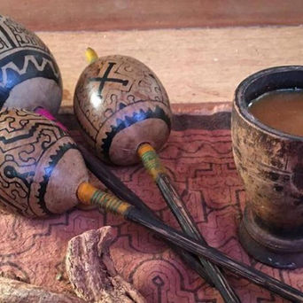 Ayahusca - Spiritual Journey within