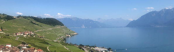 IMG_4396_edited_edited.jpg