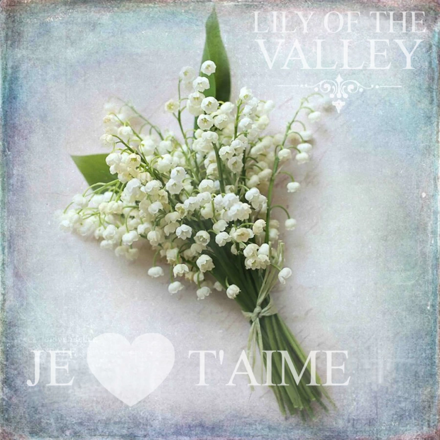 fête du muguet bouquet gift