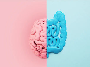 Conexão Entre Intestino, Cérebro e Equilíbrio Emocional
