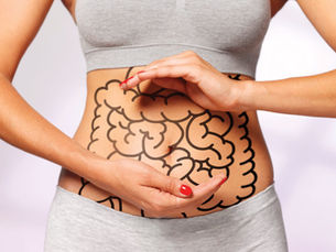 A Importância da Saúde Intestinal para o Equilíbrio Hormonal