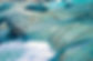 water-872016_1920.jpg