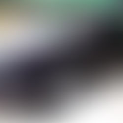 The 1st Bentley SUV is here!