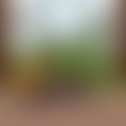 Hauling and Dumping Tips for Home Projects