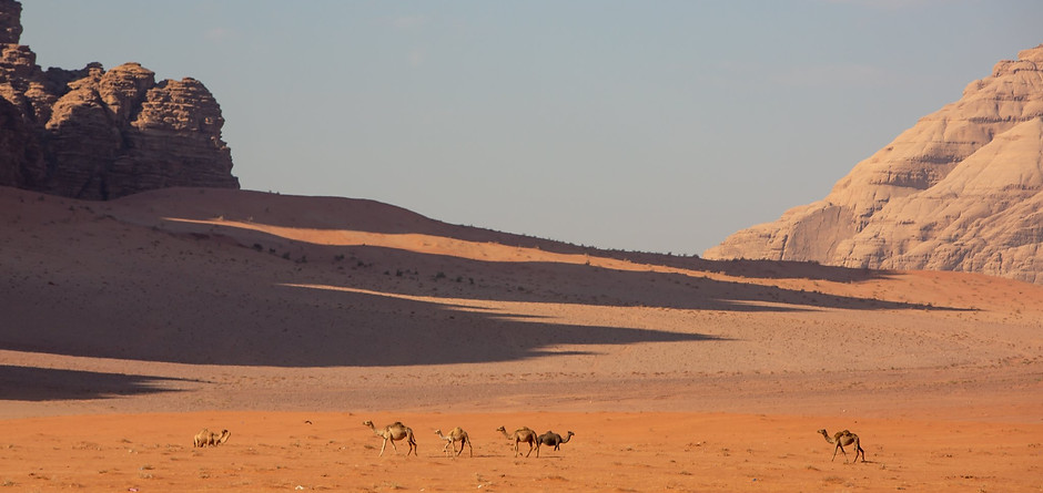 DESERT.jpg