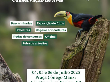 Festival de observação de aves reforça conservação e turismo ecológico em São Francisco Xavier