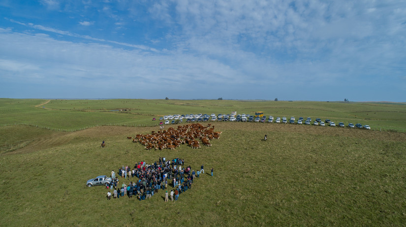 DJI_0031.jpg