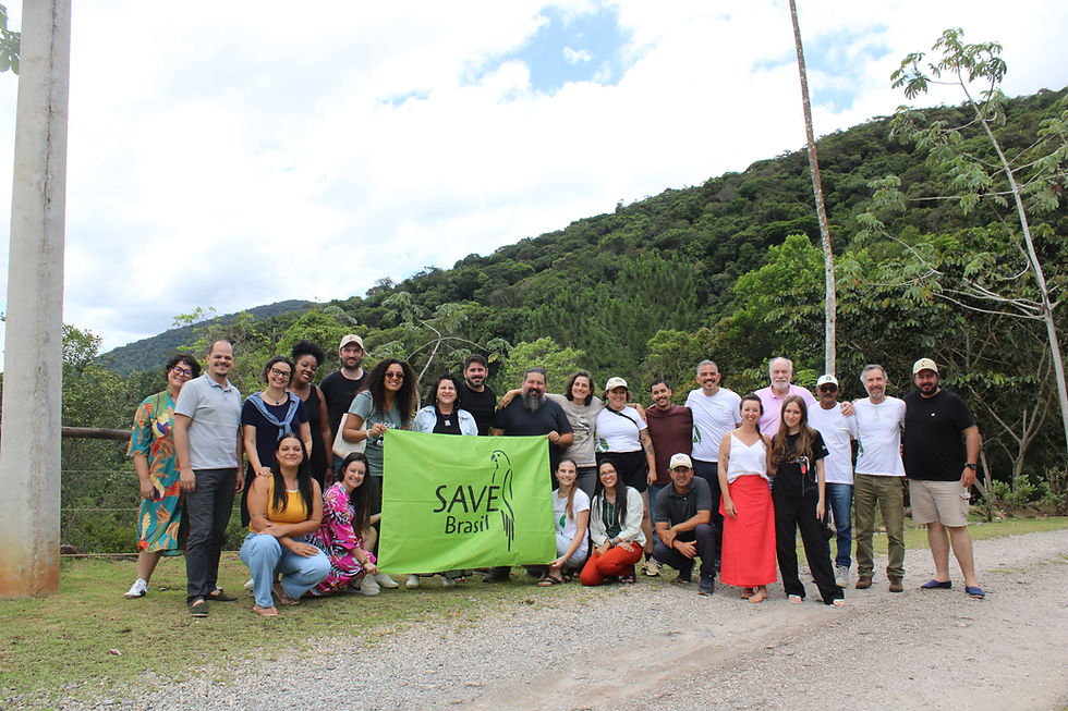 Equipe da SAVE Brasil reunida na última reunião de 2024 – Foto: SAVE Brasil
