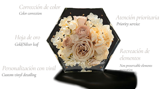 AURA web design_edited.png