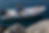 Bodrum Boat Joker Clubman 21-1.png