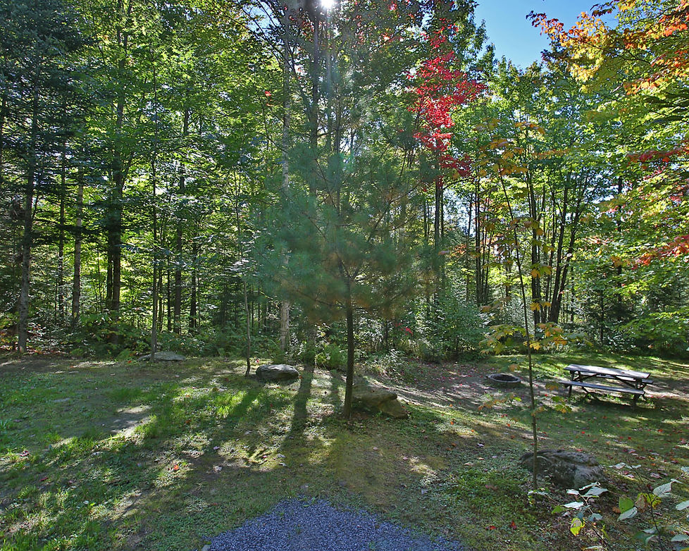 Site 18 - VCOT5858.jpg